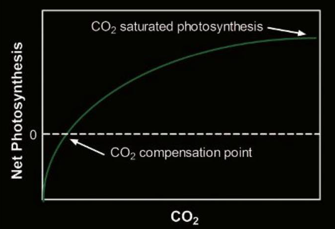 Grafik 1: Bu model akvaryum suyundaki karbondioksit ve net fotosentez arasındaki ilişkiyi gösteriyor. Çok düşük CO2 konsantrasyonlarında net fotosentez negatif (sıfırın altında) ve bitkiler yavaş yavaş ölüyor. Solunum ve fotosentezin etkileri denge noktasında (compensation point) birbirlerini karşılıyor ve sadece bu noktanın üzerinde yeni bitki materyalleri oluşuyor. Eğri artan doyumla birlikte düzleşiyor çünkü artık diğer faktörler bitki gelişimini sınırlıyor.